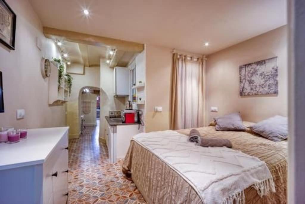 Lovely Coquette Loft, Heart Of Cuitat Vella El Carmen Appartement